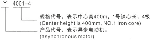 西安泰富西玛Y系列(H355-1000)高压YE2-100L1-4三相异步电机型号说明