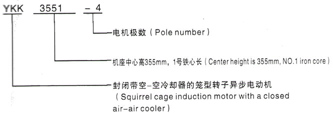 YKK系列(H355-1000)高压YE2-100L1-4三相异步电机西安泰富西玛电机型号说明