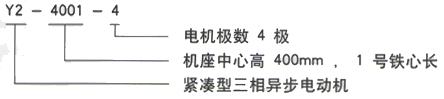 YR系列(H355-1000)高压YE2-100L1-4三相异步电机西安西玛电机型号说明